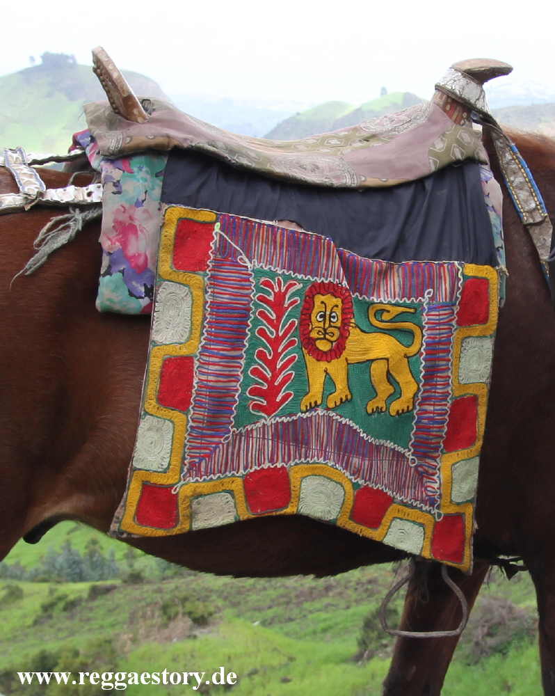 Ethiopia - Oromia - Horse