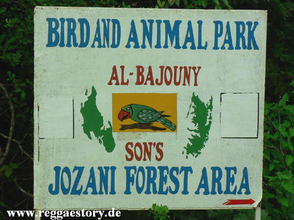 Zanzibar - Jozani-Forest