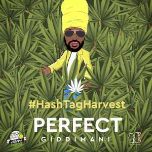 Perfect Giddimani - Hash Tag Harvest - Single 2015