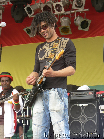 Gitarrist bei Roughhouse