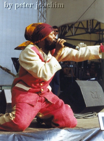 Warrior King