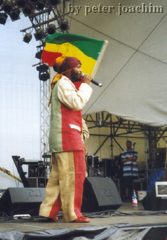Warrior King