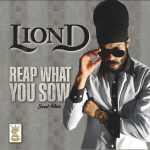 Lion D