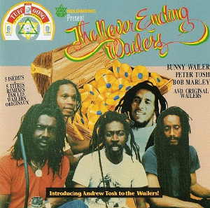 The Wailers - The Never Ending Wailers - 1993