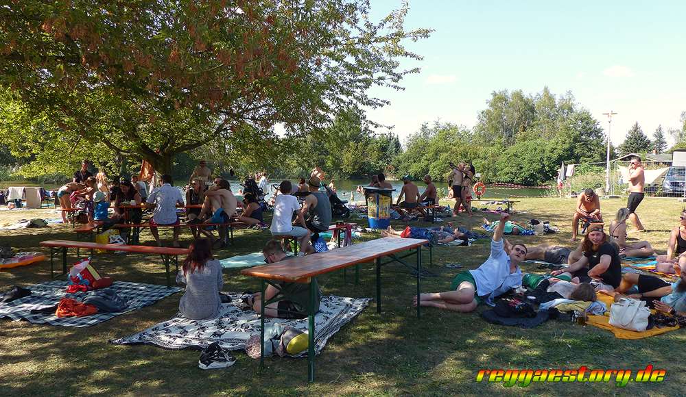 COB Festival 2024