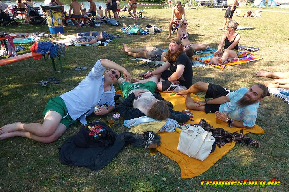 COB Festival 2024