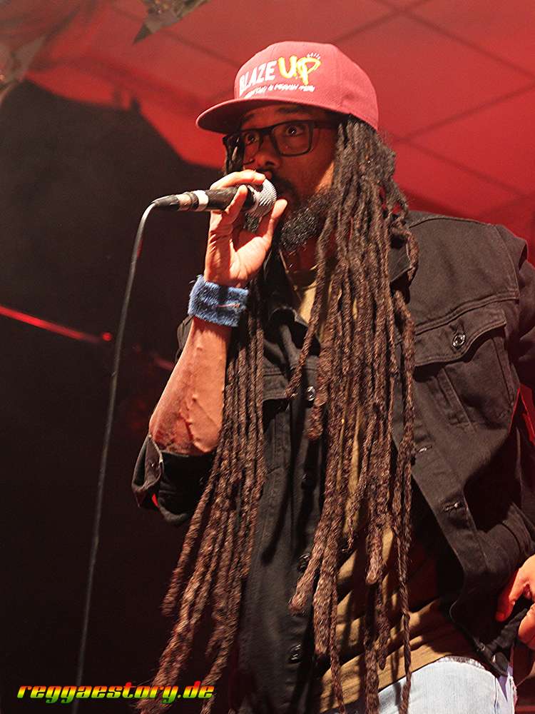 Lion D & Modern Roots Collective - COB Special 2025