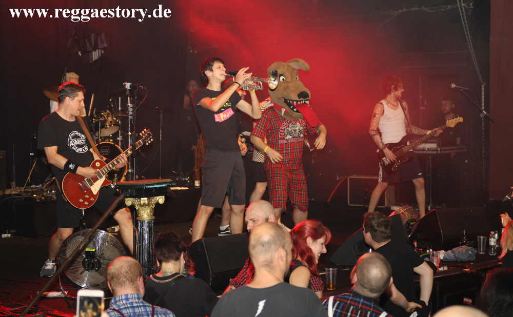 Distemper - Dynamite Ska 2019
