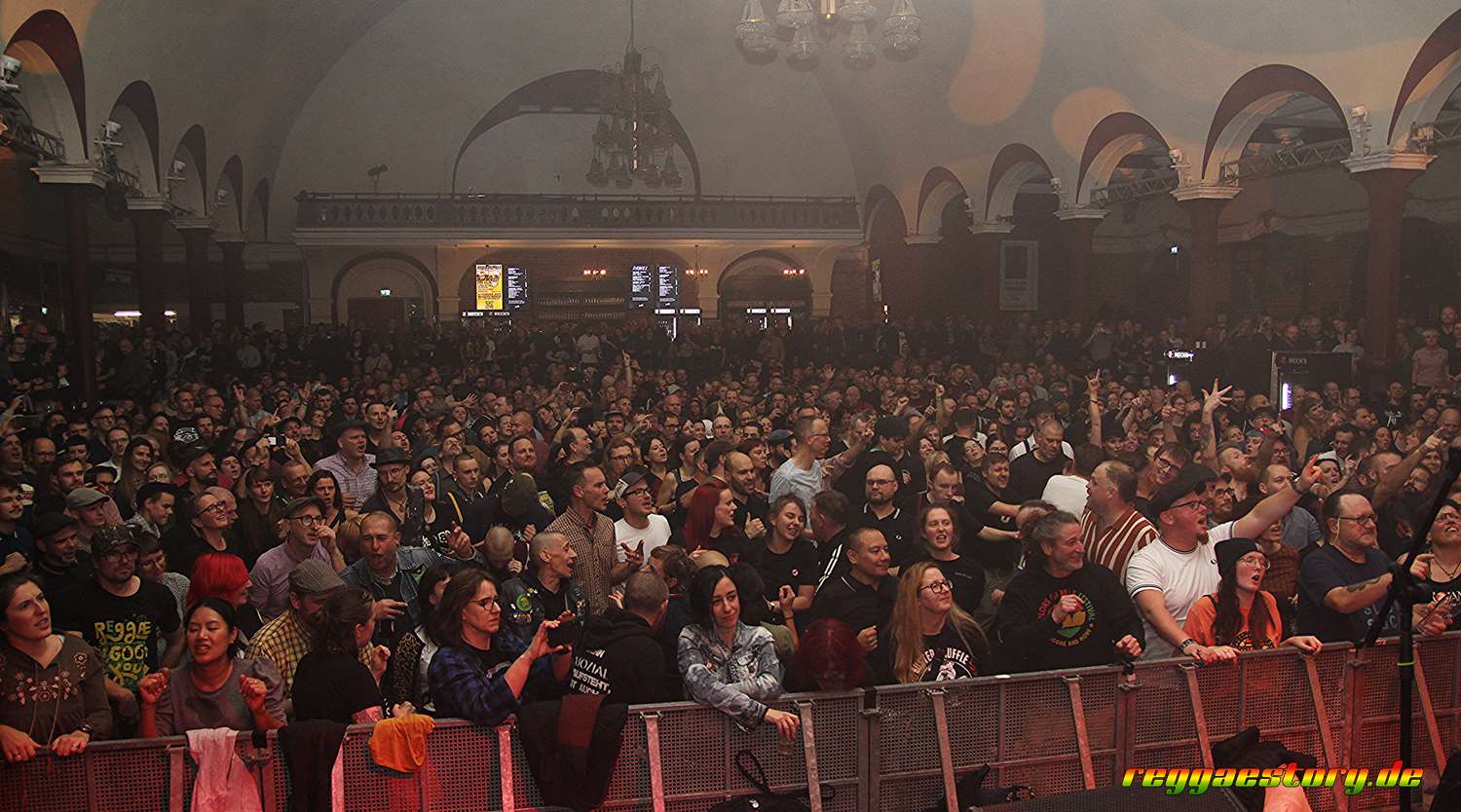 @ Buster Shuffle - Dynamite Skafestival 2024