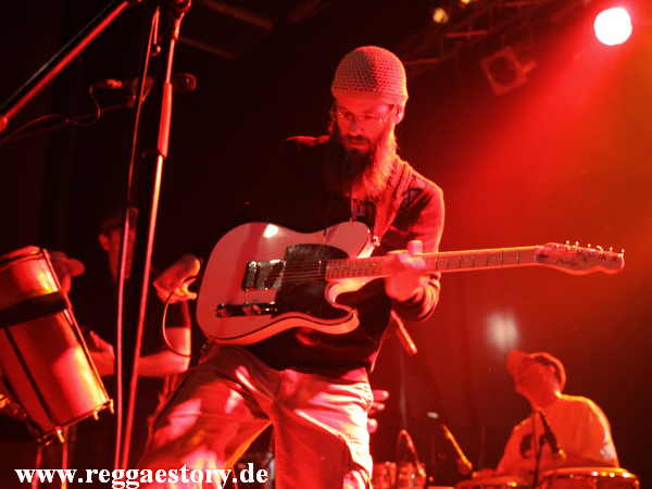 Groundation - Harrison Stafford