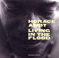Horace Andy - Living In The Floos