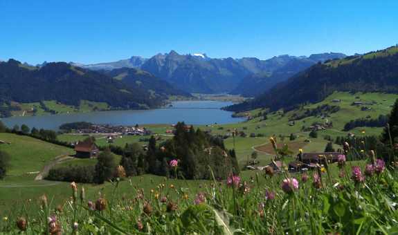 Schweizer Alpenpanorama