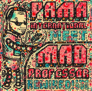 Pama International Meet Mad Professor - Album 2010