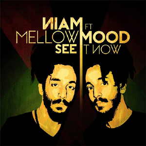 Niam + Mellow Mood - See It Now - Single 2013