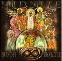 Midnite - Branch I - Projekt III