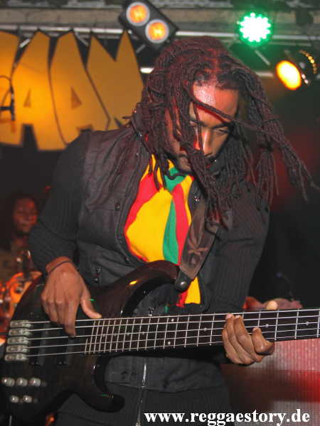 Delroy Hamilton - Raging Fyah
