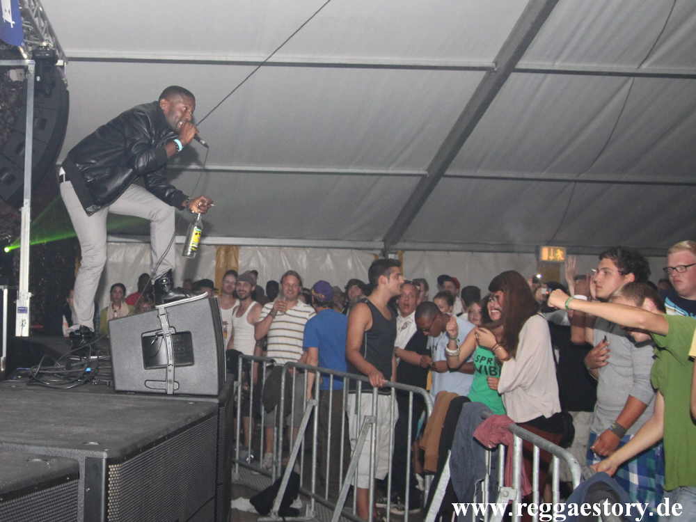 Brain Damage - Reggae Jam 2012