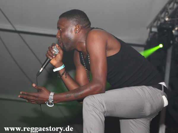 Brain Damage - Reggae Jam 2012