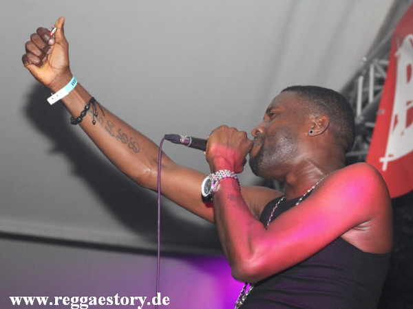 Brain Damage - Reggae Jam 2012