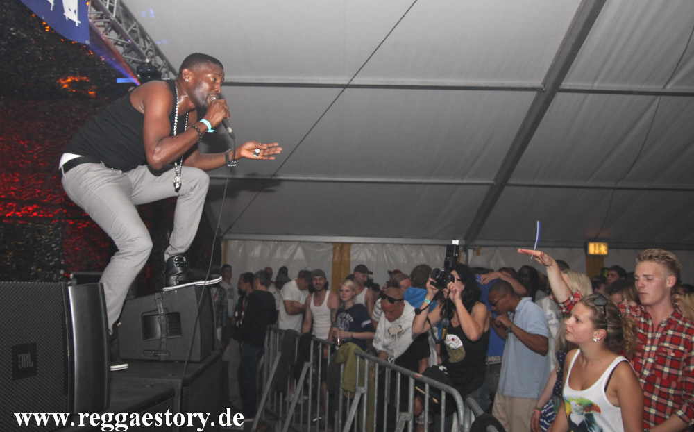 Brain Damage - Reggae Jam 2012