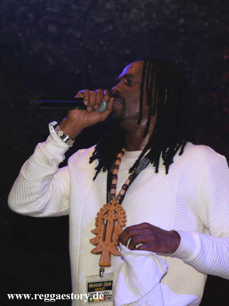 General Levy