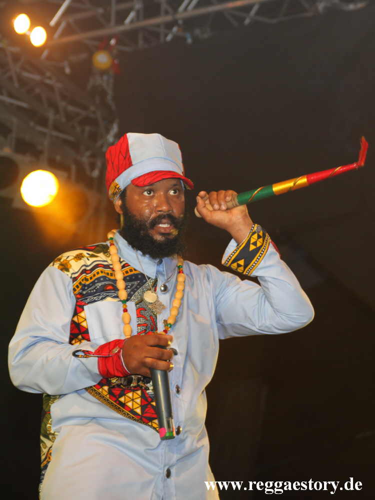 Warrior King