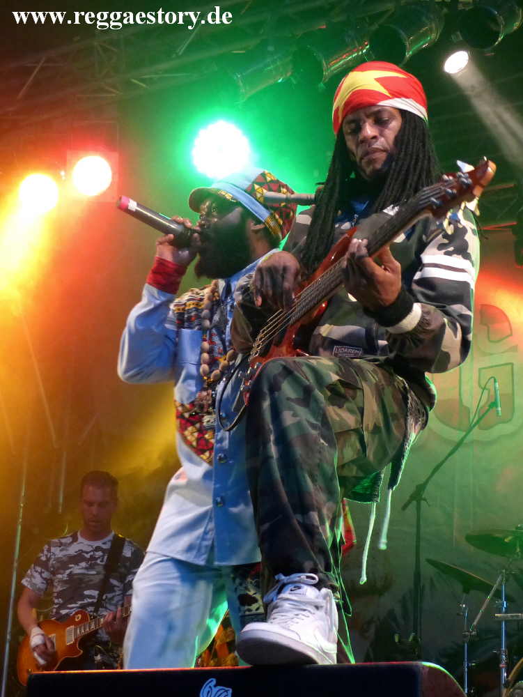 Warrior King