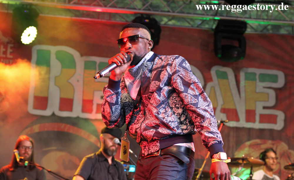 Reggae Jam 2019 - Damage SkongDem