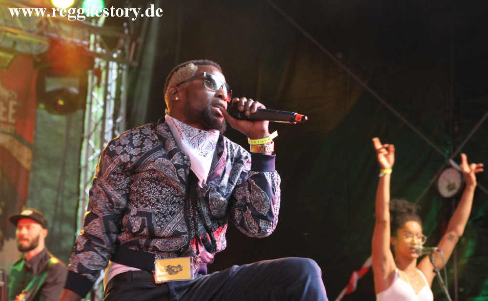 Reggae Jam 2019 - Damage SkongDem