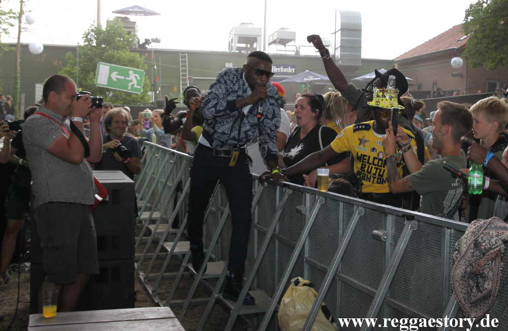 Reggae Jam 2019 - Damage SkongDem
