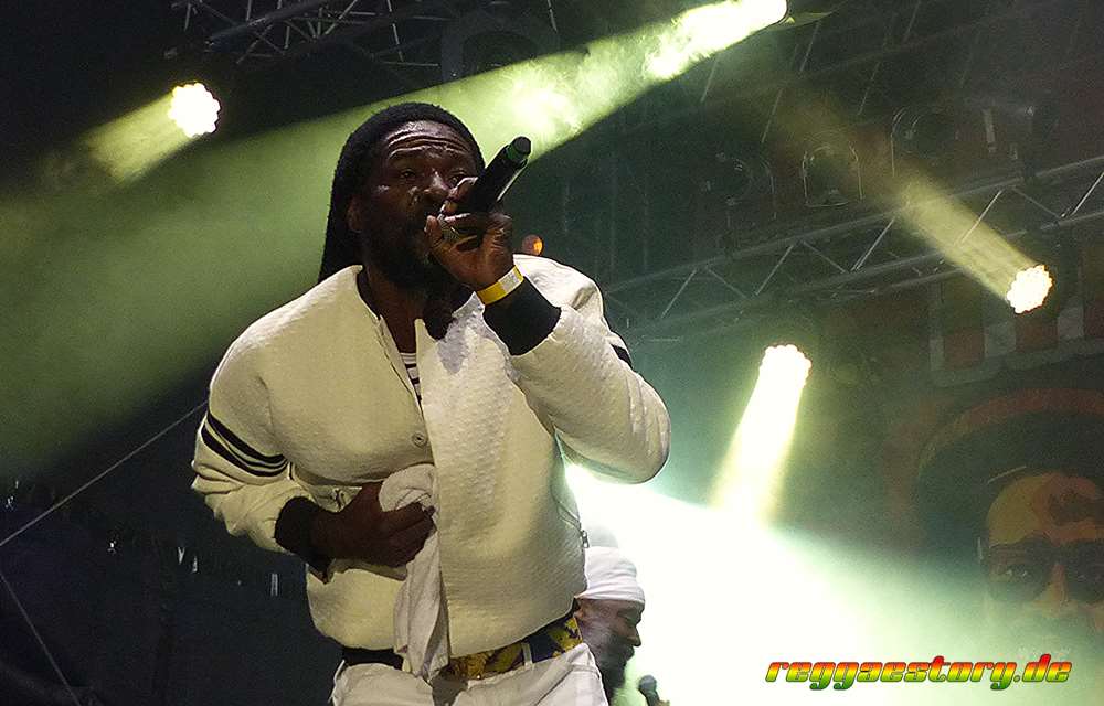 Don Tippa - Reggae jam 2024