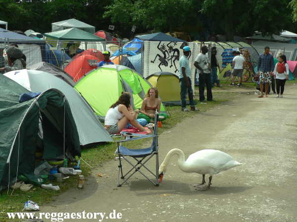 Summerjam 2013
