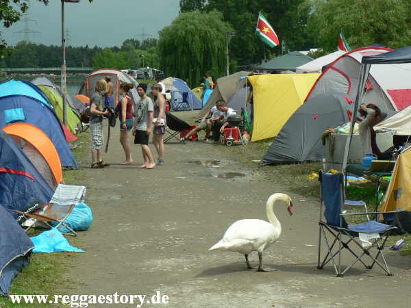 Summerjam 2013