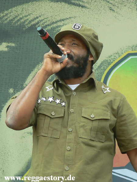 Warrior King