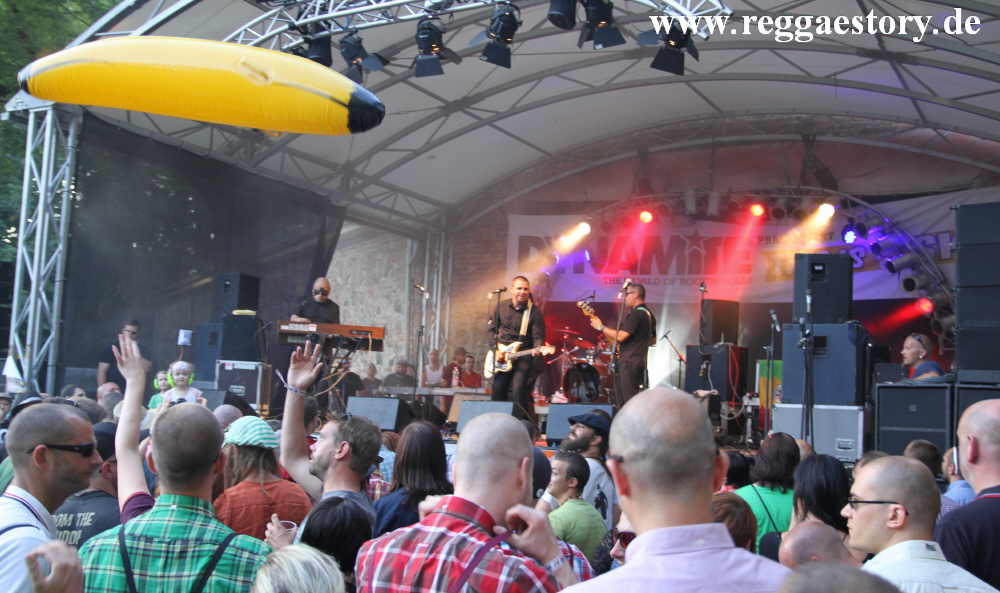 The Aggrolites