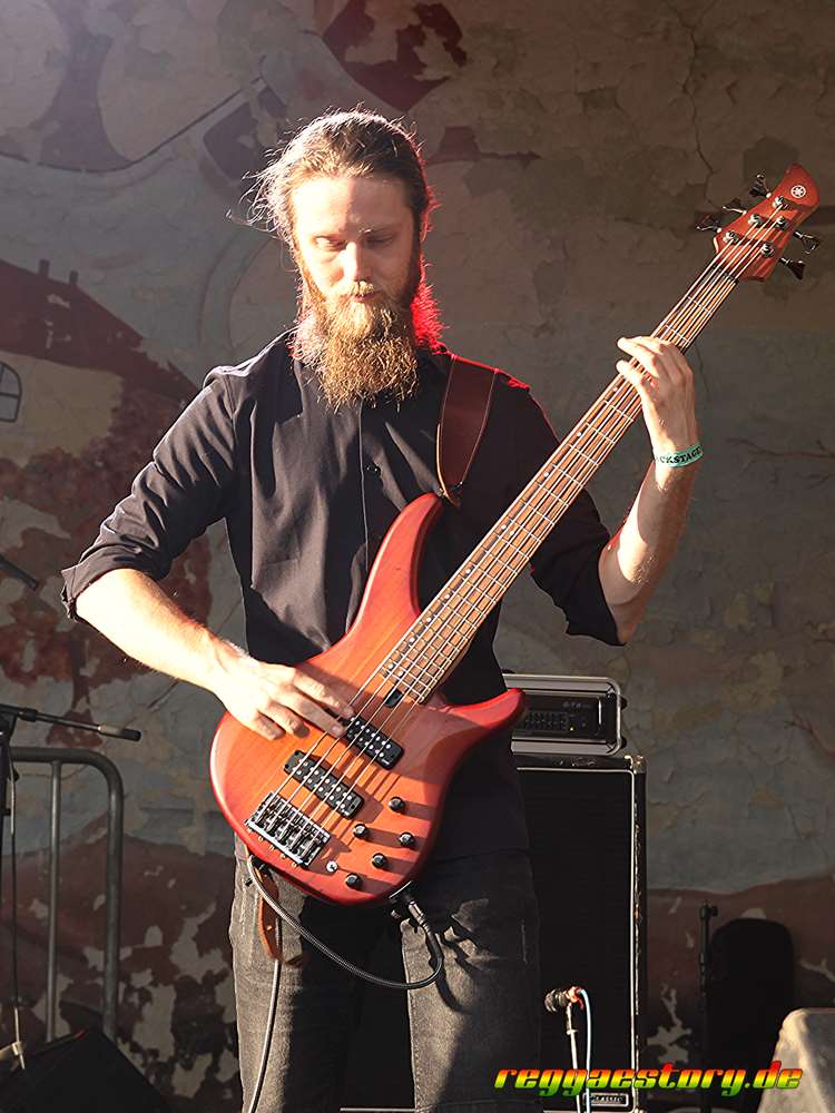 The N&ouml; - This Is Ska 2024