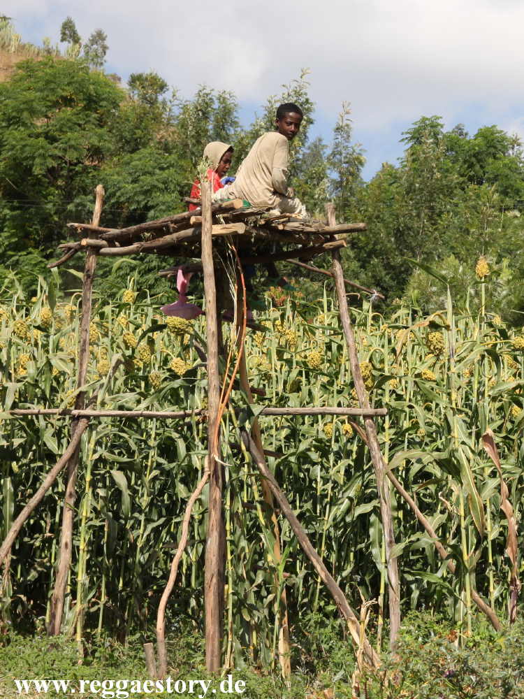 Ethiopia - Amhara - Hayk