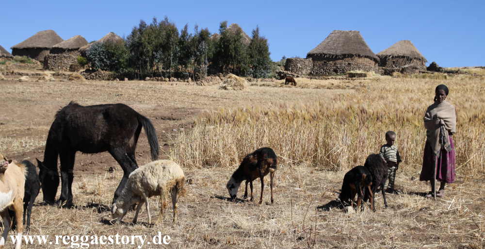 Ethiopia - Amhara - Chinese Road