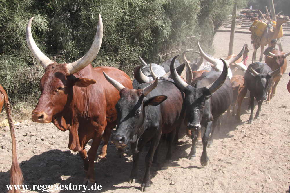 Ethiopia