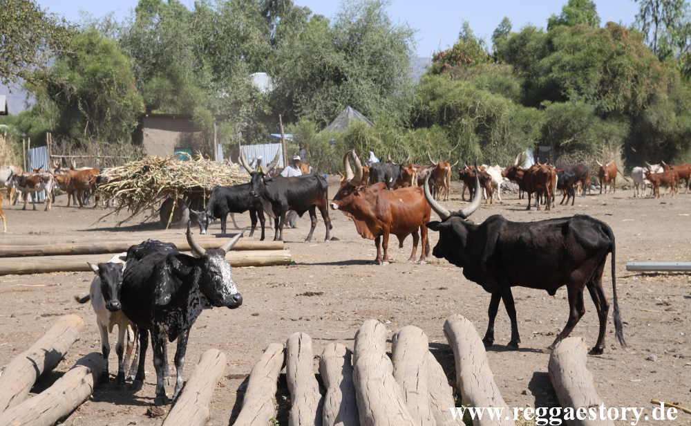 Ethiopia