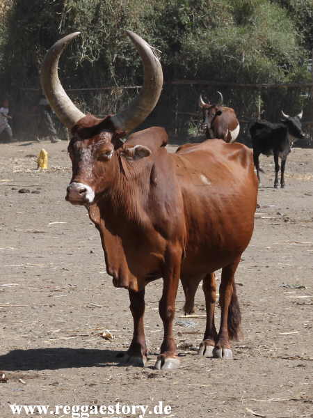 Ethiopia