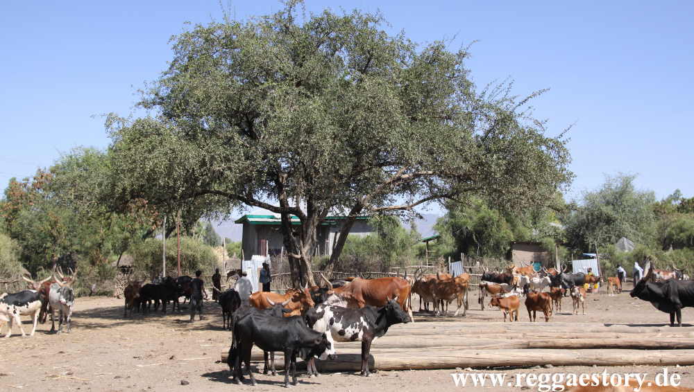 Ethiopia