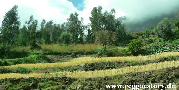 Ethiopia - Amhara - Chinese Road