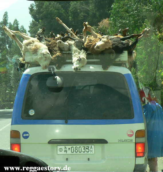 Ethiopia - Amhara - Chinese Road