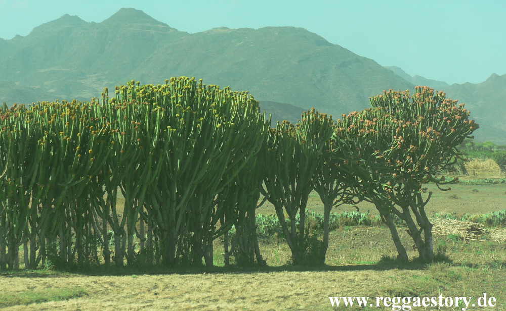 Ethiopia - Tigray