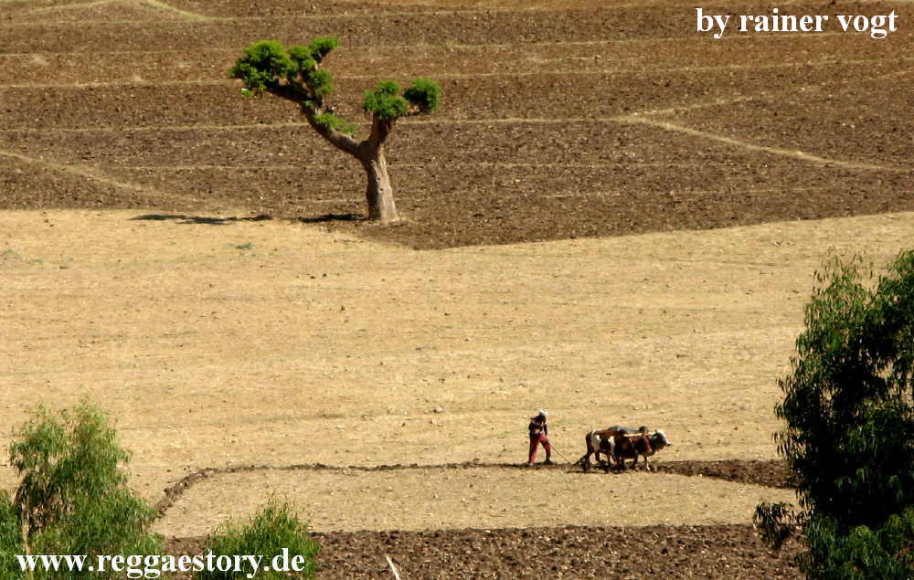 Ethiopia - Tigray - Yeha