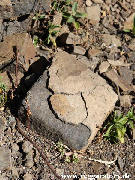 Ethiopia - Tigray