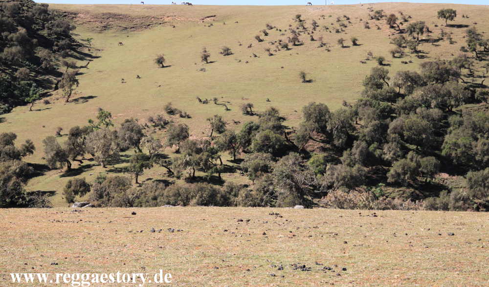 Ethiopia - Amhara - Simien Mountains
