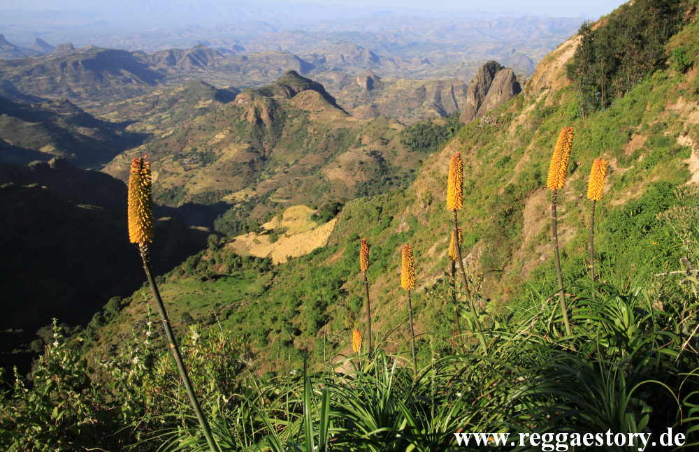 Ethiopia - Amhara - Kossoye