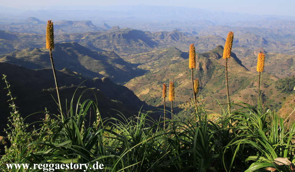 Ethiopia - Amhara - Kossoye